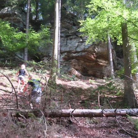 Tent On The Edge Of A Forest, Cleaning Included * Nommern
