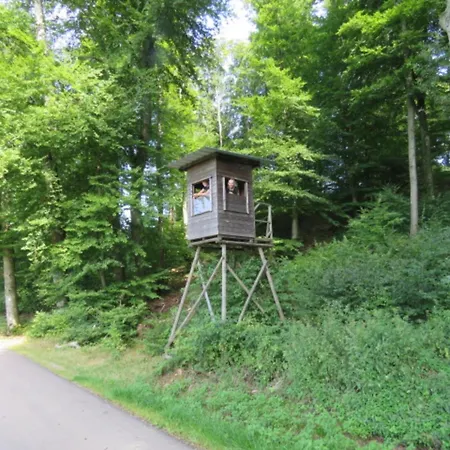 Lyxtält Tent On The Edge Of A Forest, Cleaning Included *